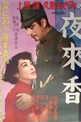 Цветок паслёна 1951 постер