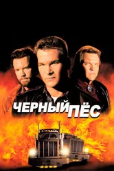 Черный пес 1998 постер
