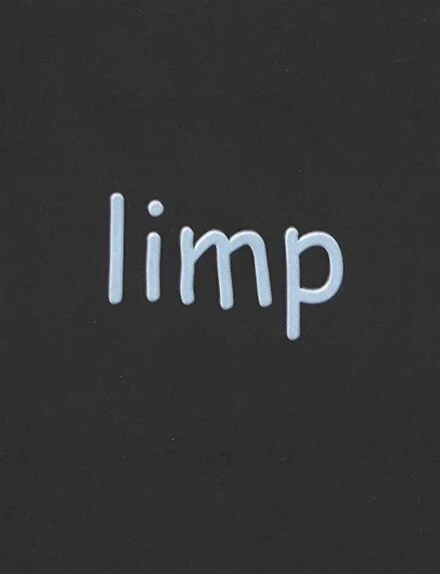 Постер Limp 1999