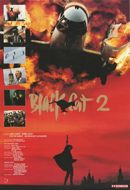 Постер Чёрная кошка 2 1992