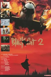 Чёрная кошка 2 1992 постер