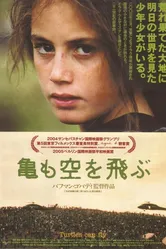 И черепахи умеют летать 2004 постер