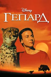 Гепард 1989 постер