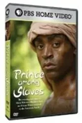 Prince Among Slaves постер