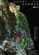 Короткое лето постер