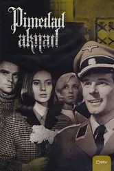 Темные окна 1968 постер