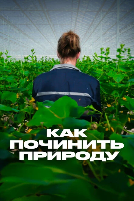 Постер Как починить природу 2017