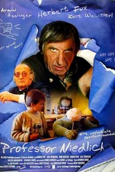 Professor Niedlich постер