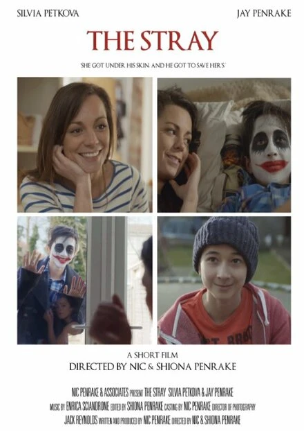Постер The Stray 2015, Великобритания