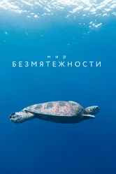 Мир безмятежности 2020 постер