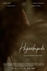 Hajszálrepedés постер