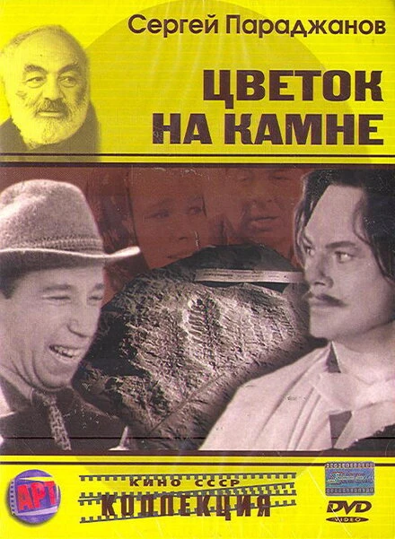 Постер Цветок на камне 1962