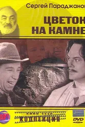 Цветок на камне 1962 постер