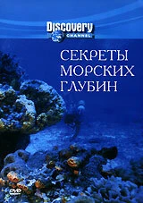 Постер Секреты морских глубин 1998