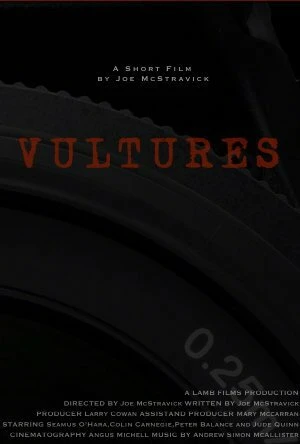 Постер Vultures 2015