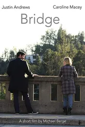 Bridge 2014 постер