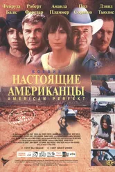 Американское совершенство 1997 постер