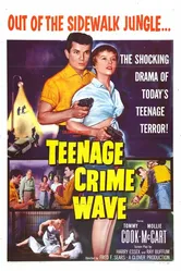 Teen-Age Crime Wave постер