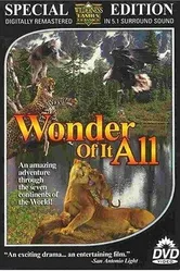 Wonder of It All постер