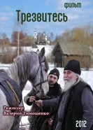 Трезвитесь 2012 постер