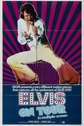 Elvis on Tour постер