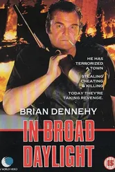 В озере дневного света 1991 постер