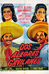 Dos alegres gavilanes постер