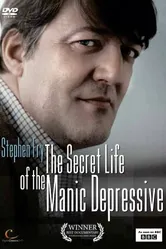 Безумная депрессия со Стивеном Фраем 2006 постер