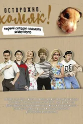 Осторожно, хомяк! 2020 постер