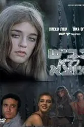 Смерть и улица 1982 постер