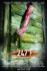 247 градусов по Фаренгейту 2011 постер