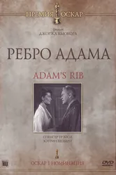 Ребро Адама 1949 постер