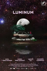Люминум 2019 постер