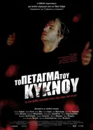 Полёт лебедя 2011 постер