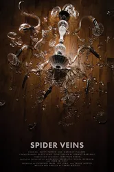 Spider Veins постер