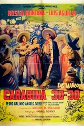 Carabina 30-30 постер