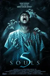 5 душ 2013 постер