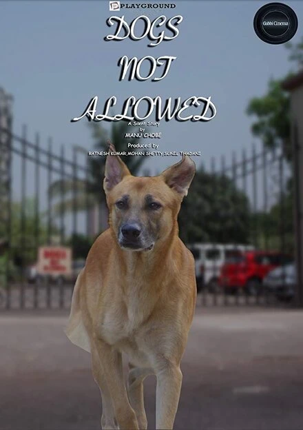 Постер Dogs Not Allowed: A Silent Movie