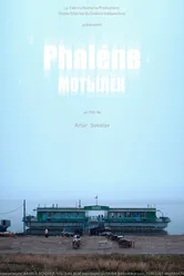 Мотылёк 2019 постер