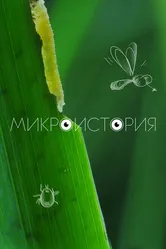 Микроистория 2017 постер