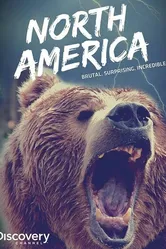 Discovery: Северная Америка 2013 постер