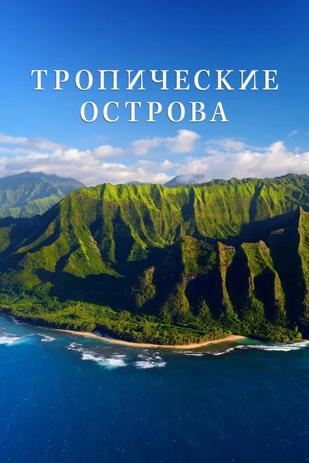 Постер Тропические острова 2020