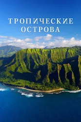 Тропические острова 2020 постер