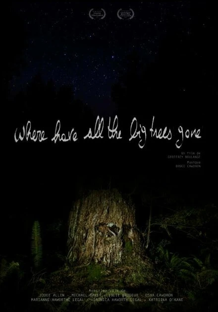 Постер Where Have All the Big Trees Gone