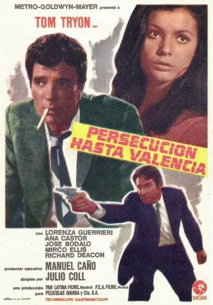 Постер Persecución hasta Valencia