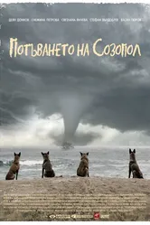 Исчезновение Созополя 2014 постер