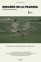 Ensueño en la Pradera постер
