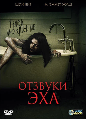 Постер Отзвуки эха 2008