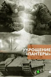 Укрощение «Пантеры», Россия постер