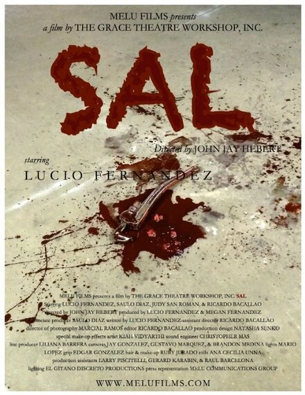Постер Sal 2014